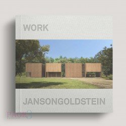 Janson Goldstein: Work 